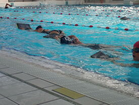 Les élèves de l'école de natation en nage ventrale
